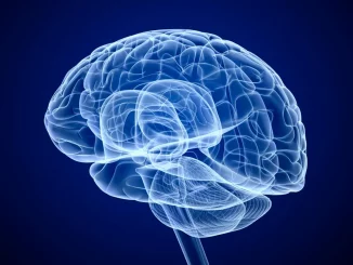 Counterfeit Brain